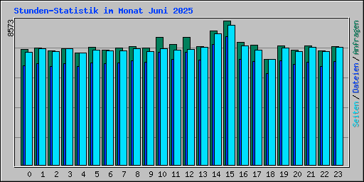 Stunden-Statistik im Monat Juni 2025
