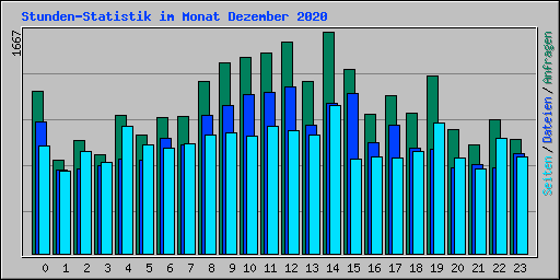 Stunden-Statistik im Monat Dezember 2020