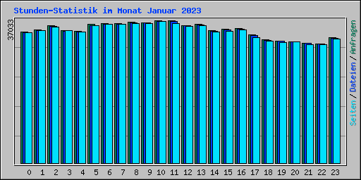 Stunden-Statistik im Monat Januar 2023