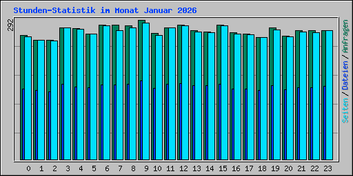 Stunden-Statistik im Monat Januar 2026